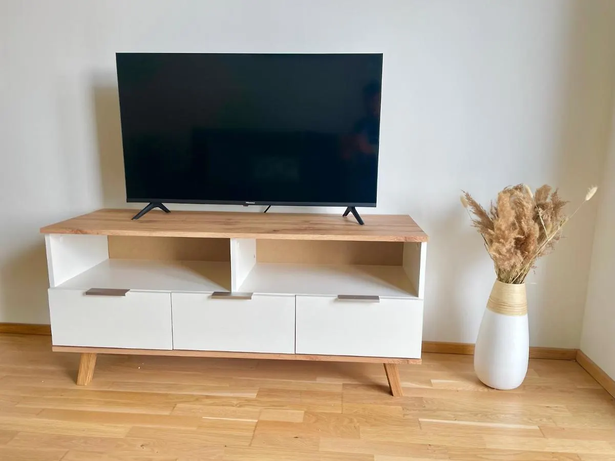 Bright Flat In Central Vienna